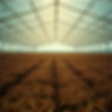 Magnificent Examining the Food Shortage Landscape of 2022