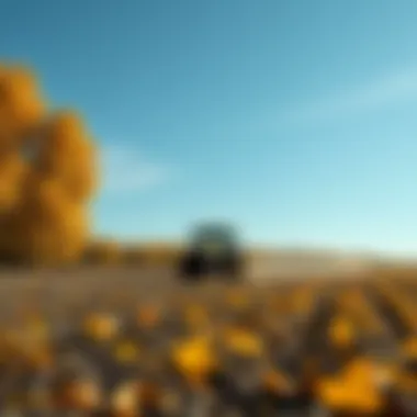 Magnificent Optimal Timing for Seeding in Fall