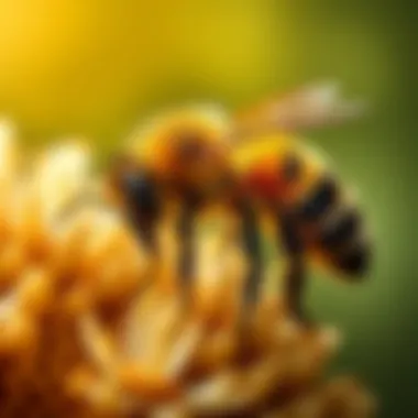Magnificent The Essential Role of Bees in Crop Pollination Magnificent The Essential Role of Bees in Crop Pollination
