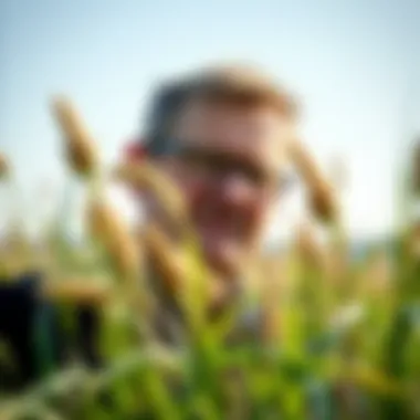 Magnificent Understanding What Detracts from Bermuda Grass Without Harming Companion Plants