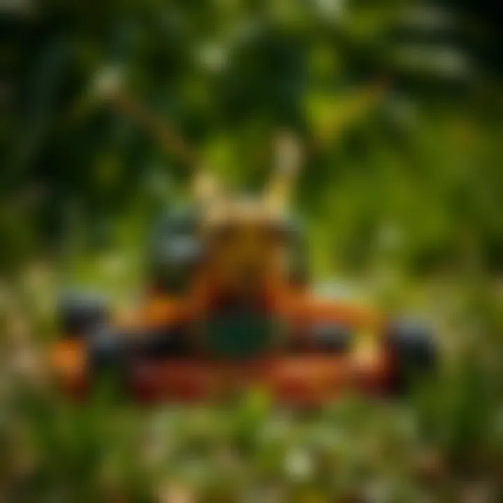Notable A Comprehensive Examination of Grasshopper Residential Mowers