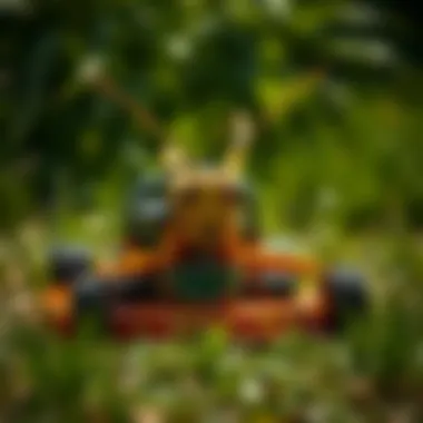 Notable A Comprehensive Examination of Grasshopper Residential Mowers Notable A Comprehensive Examination of Grasshopper Residential Mowers