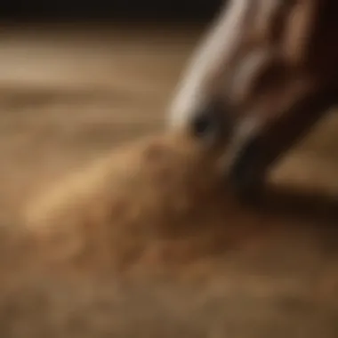 Digestive Benefits of Psyllium Powder A diagram illustrating the digestive benefits of psyllium powder for horses.