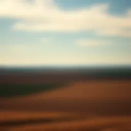 A scenic view of vast, open farmland under a clear sky