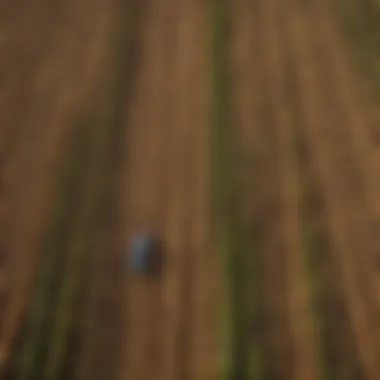 Diverse Agricultural Practices Aerial view of diverse agricultural fields showcasing crop rotation