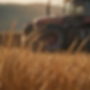 Factors Affecting Wheat Prices Factors influencing wheat prices presented in an infographic