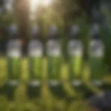 A detailed view of different ant spray bottles designed for grass application