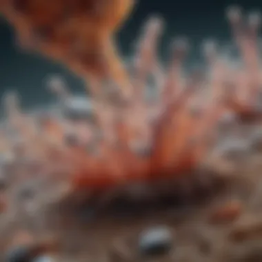 Microscopic Insights: How Antibacterial Surfaces Combat Bacteria Microscopic view of antibacterial surface interaction with bacteria