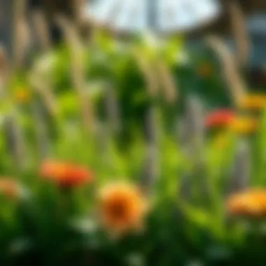 Eco-Friendly Garden Alternatives A vibrant garden with eco-friendly alternatives to chemical treatments.