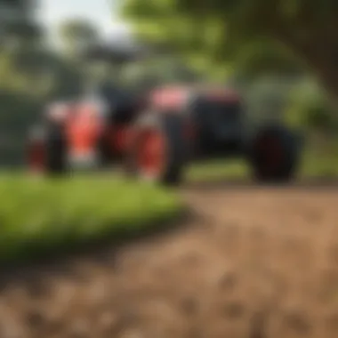 Healthy lawn maintenance practices in a sandy environment