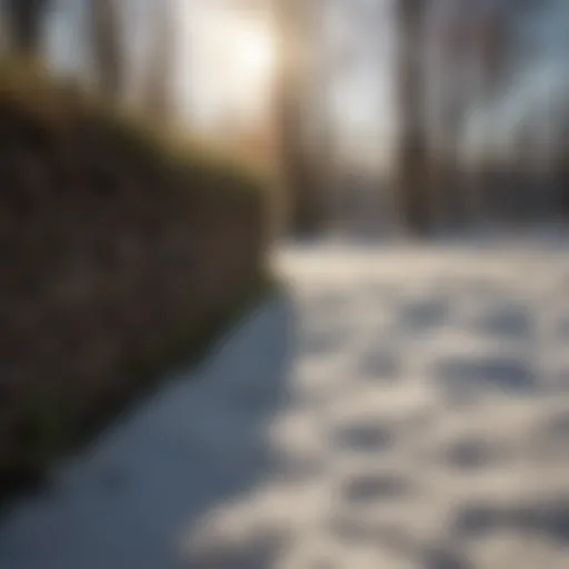 Freshly laid sod in a winter landscape