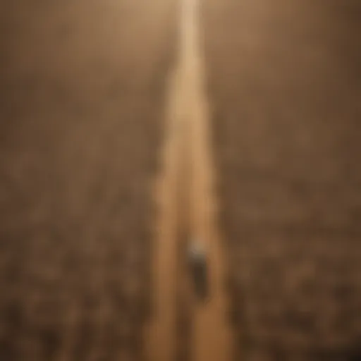 Aerial view of drought-affected farmland