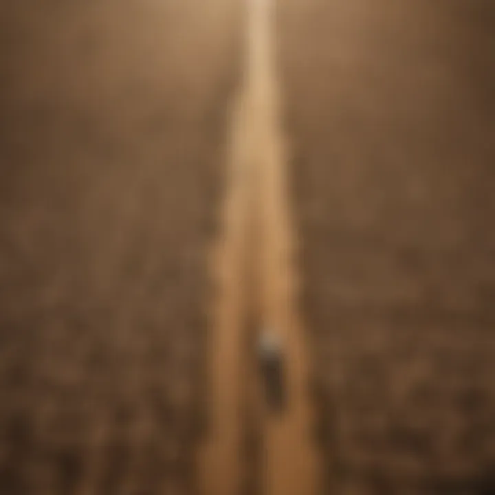 Aerial view of drought-affected farmland