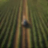 Aerial view of a sustainable farm showcasing diverse crops and practices