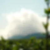 CO2 Emissions by Country: A Comprehensive Analysis Introduction
