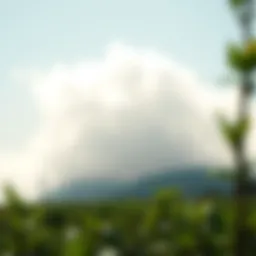 CO2 Emissions by Country: A Comprehensive Analysis Introduction