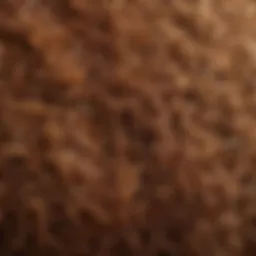 Coco coir fiber close-up showcasing its texture