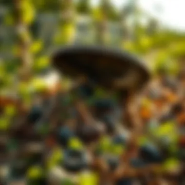 Composting Food Waste: A Detailed Guide for Sustainable Practices Summary Composting Food Waste: A Detailed Guide for Sustainable Practices Summary