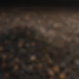 Close-up of Carbon X Pro fertilizer granules