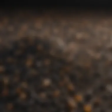 Close-up of Carbon X Pro fertilizer granules