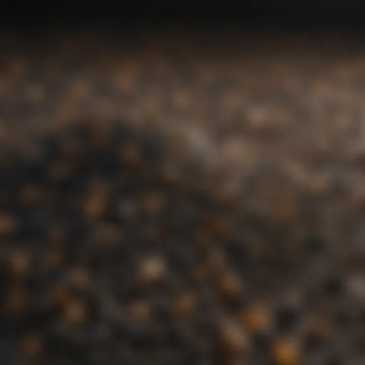 Close-up of Carbon X Pro fertilizer granules