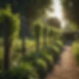 A well-maintained garden protected by an electric fence