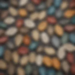 A close-up view of various colorful lamb ear tags showcasing different designs.
