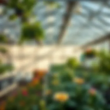 Notable Comprehensive Overview of Greenhouse and Nursery Supplies Notable Comprehensive Overview of Greenhouse and Nursery Supplies