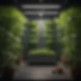 Aeroponic system setup showcasing various components