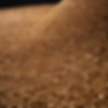 Future Applications of Granules in Crop Management Future applications of granules in crop management