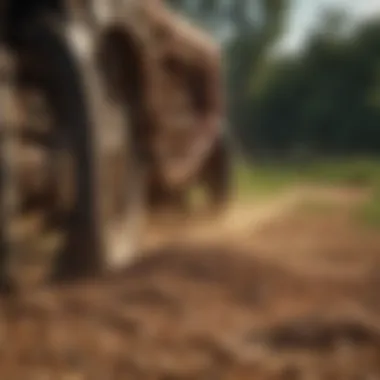 Sustainable Farming Practices with Granules Sustainable farming practices and granules