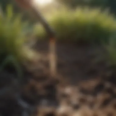 Soil testing kit placed on a healthy patch of grass.