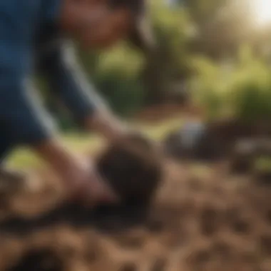 Engaging Experts for Mole Management Professional services for mole control