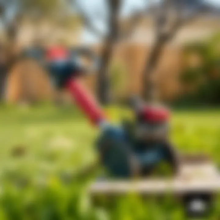 Mechanical Tools for Grass Removal Tools used for mechanical grass removal