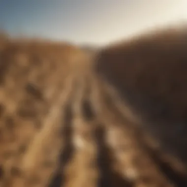 Erosion Rolls and Their Influence on Crop Yield Erosion rolls and crop yield