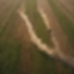 Aerial view of agricultural fields treated with Roundup, highlighting the contrast between treated and untreated areas