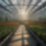 Illustration of an exhaust shutter system in a greenhouse