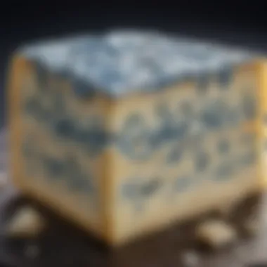 Characteristics of Blue Cheese A close-up view of blue cheese with its characteristic marbling, highlighting its unique properties.