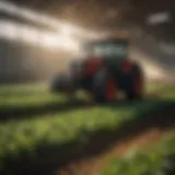 Innovative farming techniques in action