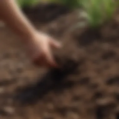Soil Health in Sustainable Farming Healthy soil with visible layers and organic material