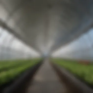 Structure of a High Tunnel Cross-section of a high tunnel showcasing its structure