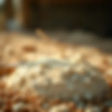 Exploring Bone Flour: Uses, Benefits, and Implications in Agriculture Summary