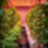 Exploring Bulk LED Grow Lights in Agriculture and Horticulture Introduction