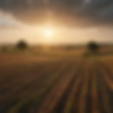 A rural landscape with fields extending towards the horizon.