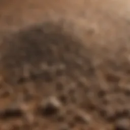 A close-up view of granulated fertilizers showcasing their texture and size.