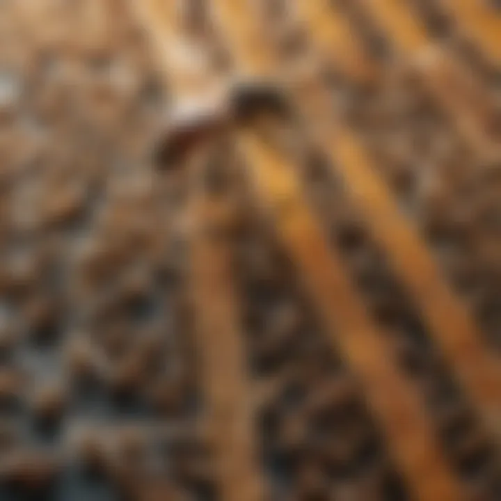 Close-up of honey bee mite strips