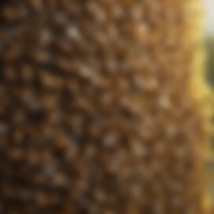 Healthy honey bees in a flourishing environment
