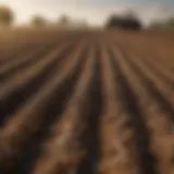 Kopperttox application in farmland