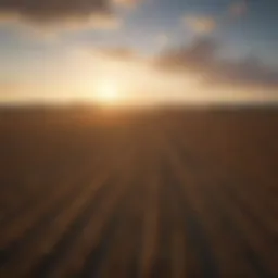 Scenic view of vast farmland