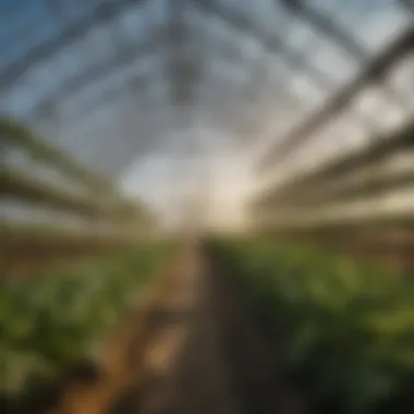 Innovative Greenhouse Technologies for Enhanced Growth Close-up of a high-tech greenhouse utilizing smart technology for optimal plant growth